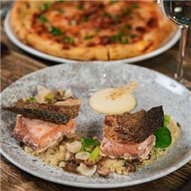 Salmon